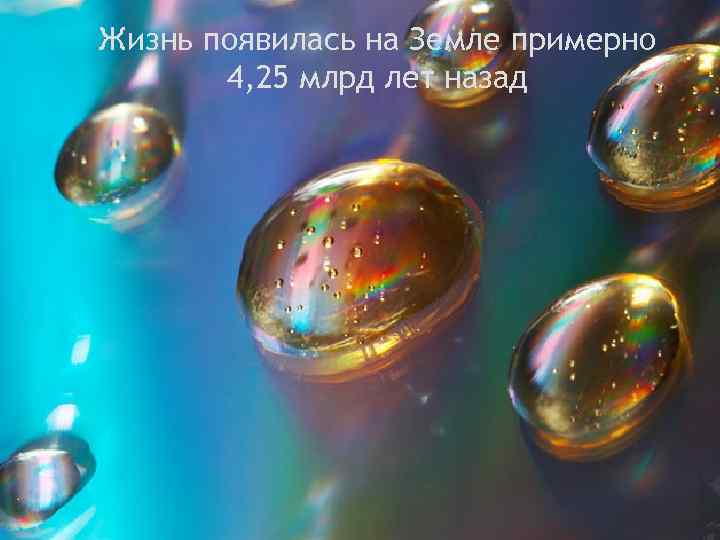 Жизнь появилась на Земле примерно 4, 25 млрд лет назад 