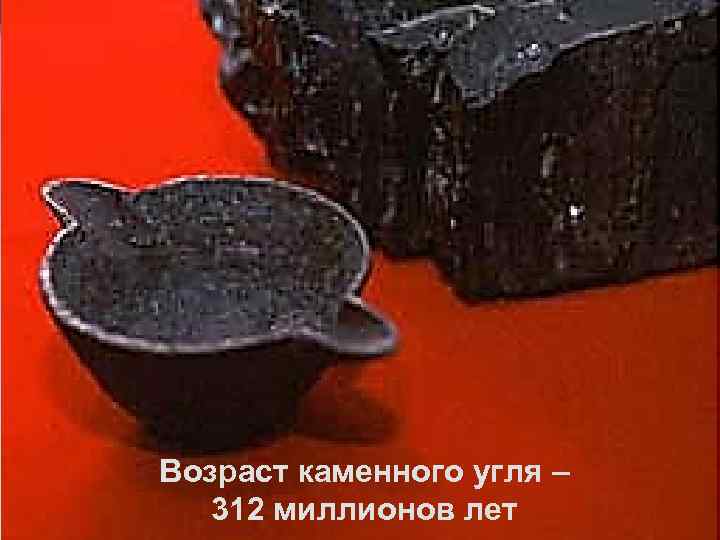 Возраст каменного угля – 312 миллионов лет 