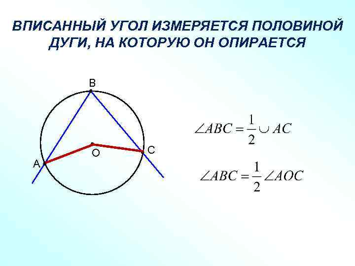 ВПИСАННЫЙ УГОЛ ИЗМЕРЯЕТСЯ ПОЛОВИНОЙ ДУГИ, НА КОТОРУЮ ОН ОПИРАЕТСЯ В А О С 