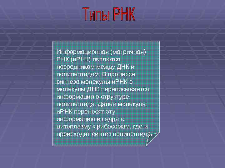 Информационная (матричная) Транспортная РНК (т. РНК), или РНК (и. РНК) являются РНК-переносчик, имеет Рибосомальная
