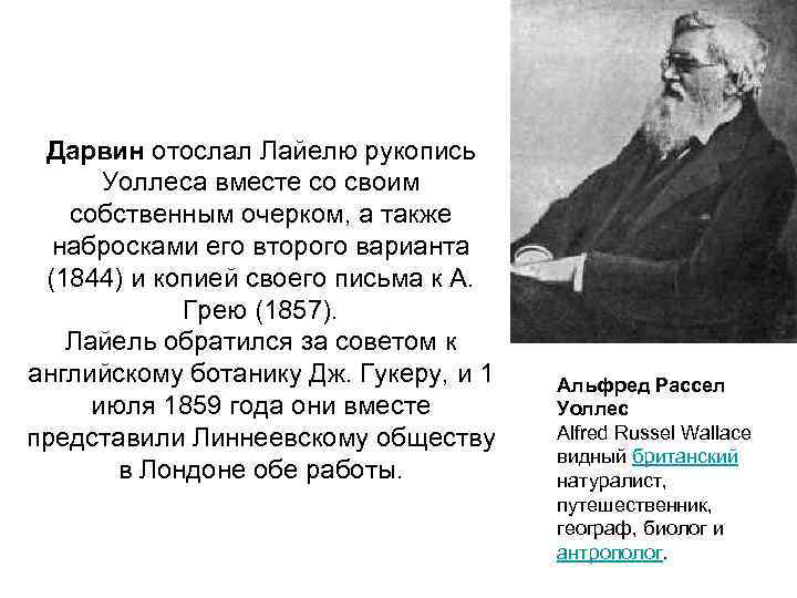 Дарвин отослал Лайелю рукопись Уоллеса вместе со своим собственным очерком, а также набросками его