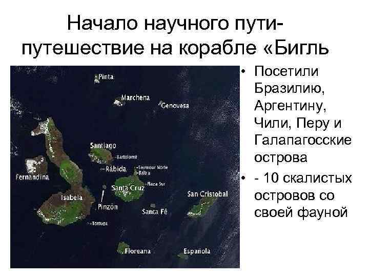 Начало научного пути- путешествие на корабле «Бигль • Посетили Бразилию, Аргентину, Чили, Перу и