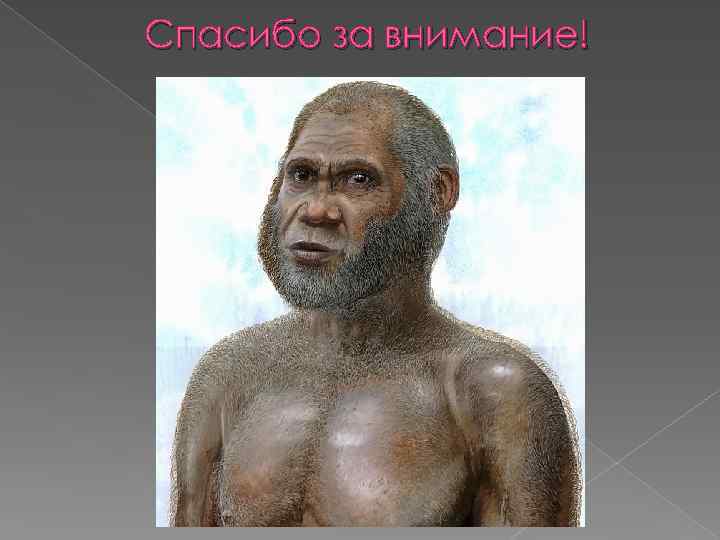 Люди давным давно заметили впр. Как выглядели люди давным давно. Как выглядели люди давно. Как бы мог выглядеть человек. Как выглядели люди давно давно.