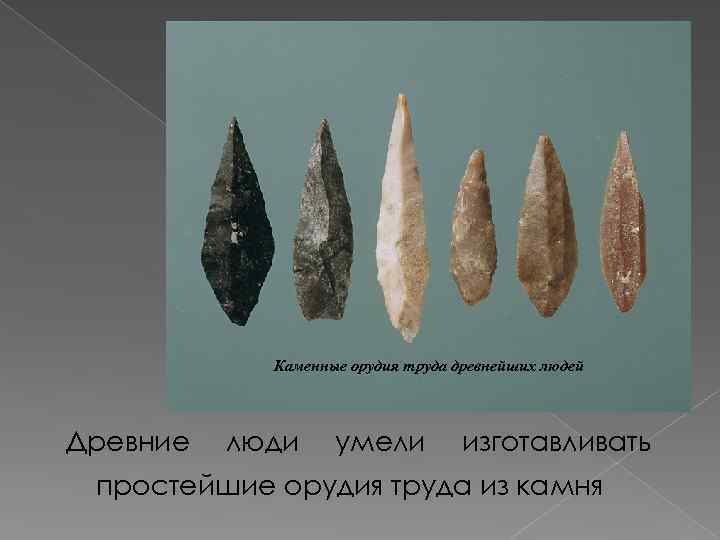 Каменные орудия труда древнейших людей Древние люди умели изготавливать простейшие орудия труда из камня