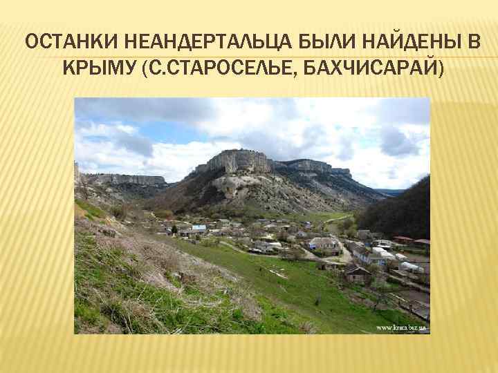 ОСТАНКИ НЕАНДЕРТАЛЬЦА БЫЛИ НАЙДЕНЫ В КРЫМУ (С. СТАРОСЕЛЬЕ, БАХЧИСАРАЙ) 