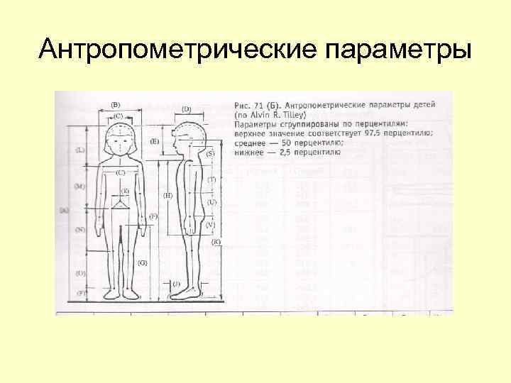 Антропометрические данные для кадетского корпуса образец