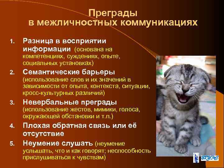 Преграды в межличностных коммуникациях 1. Разница в восприятии информации (основана на компетенциях, суждениях, опыте,