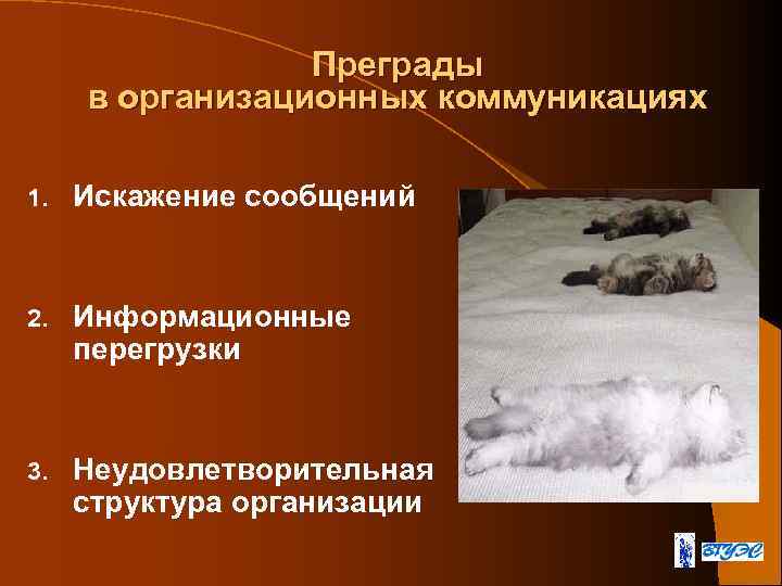 Преграды в организационных коммуникациях 1. Искажение сообщений 2. Информационные перегрузки 3. Неудовлетворительная структура организации