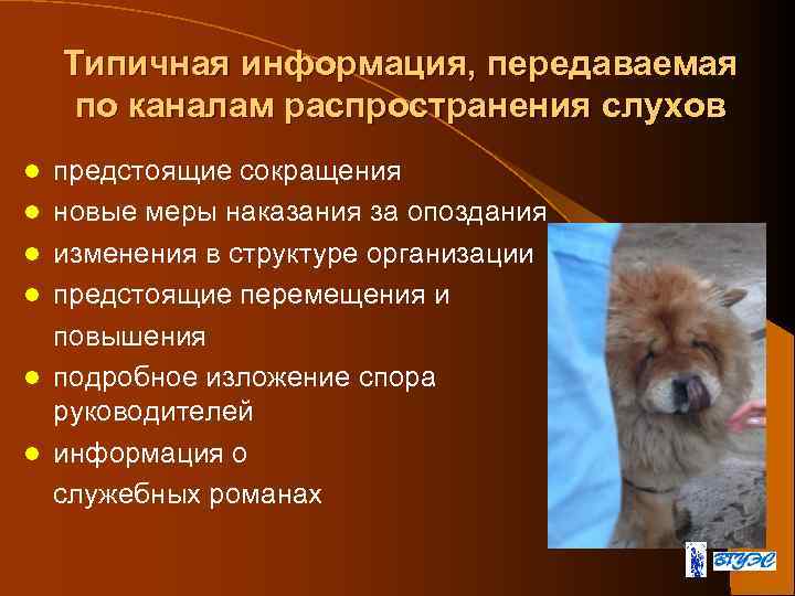 Типичная информация, передаваемая по каналам распространения слухов l l l предстоящие сокращения новые меры