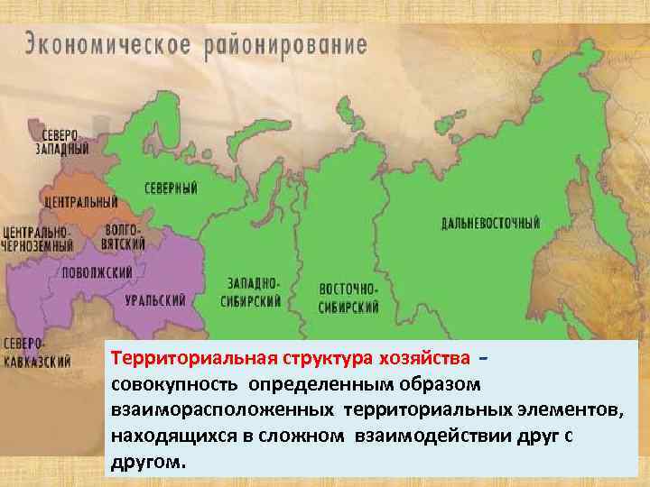 Территориальная структура хозяйства совокупность определенным образом взаиморасположенных территориальных элементов, находящихся в сложном взаимодействии друг