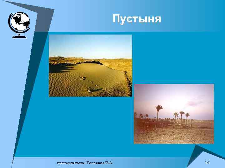 Пустыня преподаватель: Головина Е. А. 14 