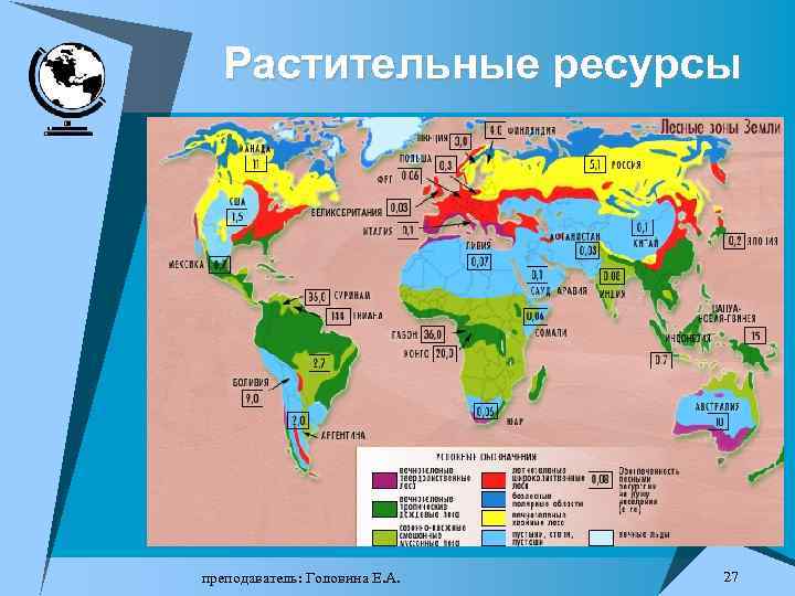 Растительные ресурсы преподаватель: Головина Е. А. 27 