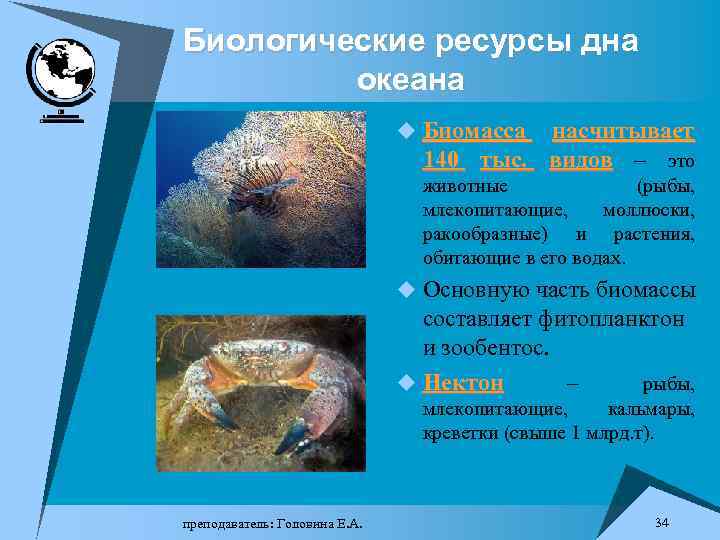 Биологические ресурсы дна океана u Биомасса насчитывает 140 тыс. видов – это животные (рыбы,
