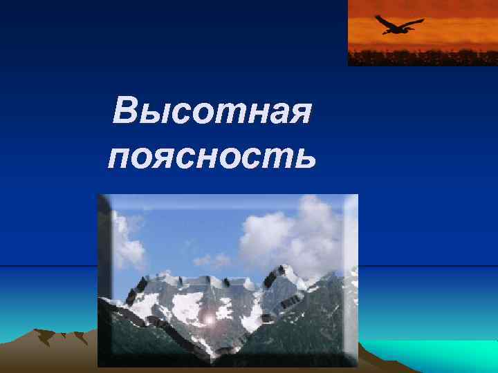 Высотная поясность 