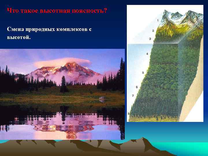 Что такое высотная поясность? Смена природных комплексов с высотой. 