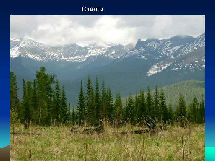 Саяны 