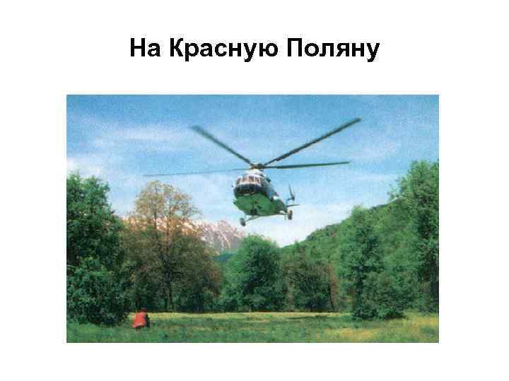 На Красную Поляну 