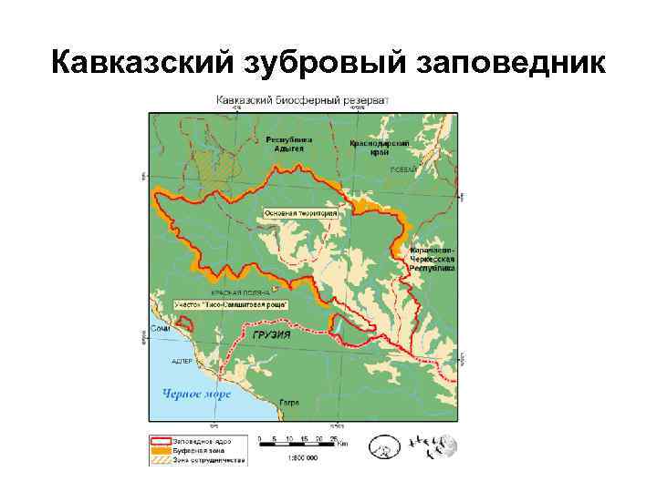 Карта кавказского района краснодарского края