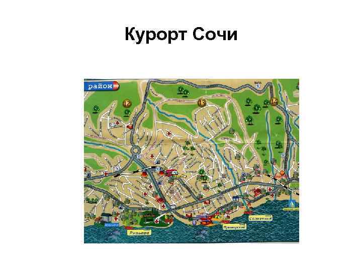 Курорт Сочи 