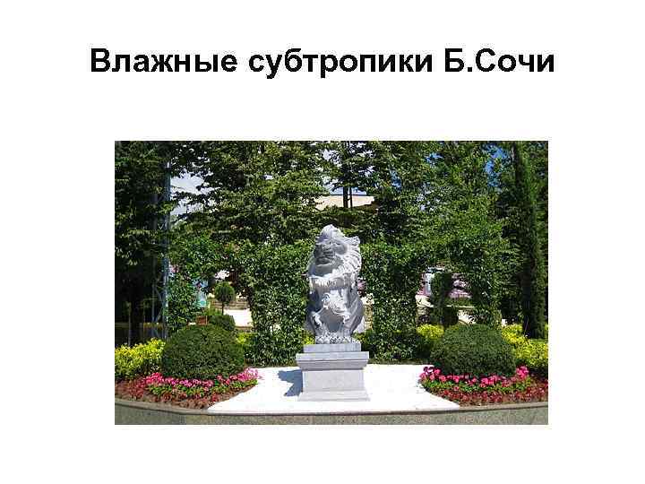 Влажные субтропики Б. Сочи 