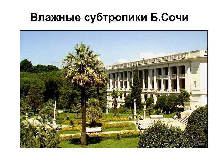Влажные субтропики Б. Сочи 