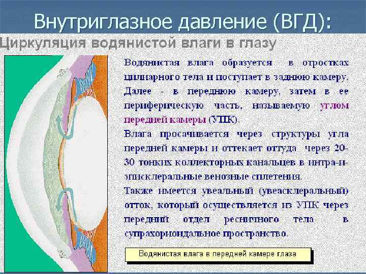 Внутриглазное давление (ВГД): 