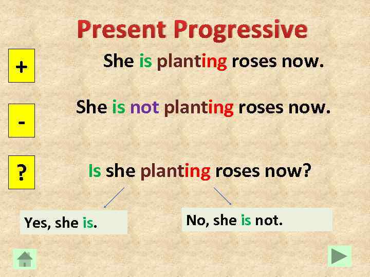 Present Progressive She is planting roses now. + ? She is not planting roses