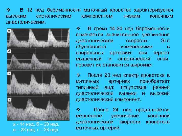 v В 12 нед беременности маточный кровоток характеризуется высоким систолическим компонентом, низким конечным диастолическим.