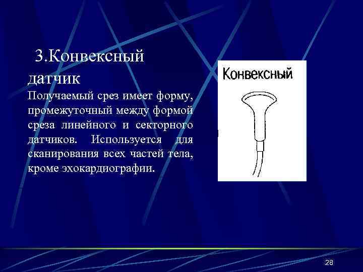 3. Конвексный датчик Получаемый срез имеет форму, промежуточный между формой среза линейного и секторного