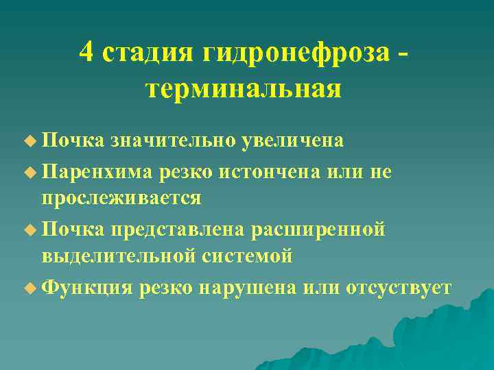 4 стадия гидронефроза терминальная u Почка значительно увеличена u Паренхима резко истончена или не