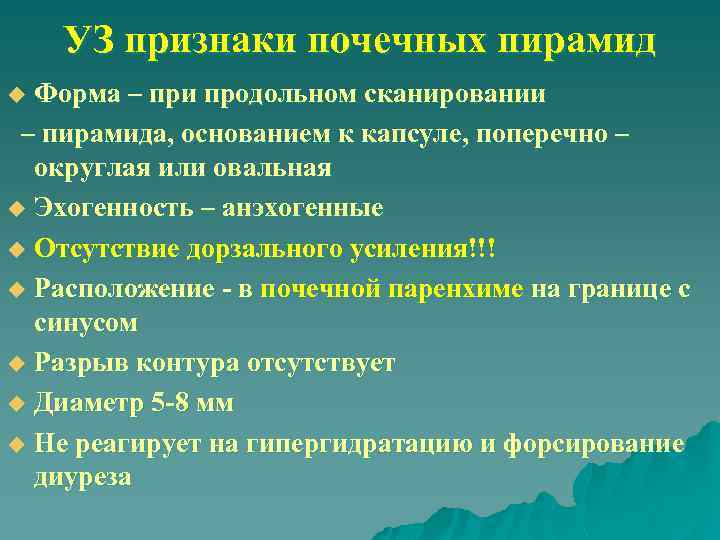 УЗ признаки почечных пирамид Форма – при продольном сканировании – пирамида, основанием к капсуле,
