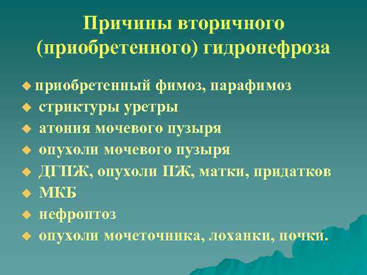 Причины вторичного (приобретенного) гидронефроза u приобретенный фимоз, парафимоз u u u u стриктуры уретры