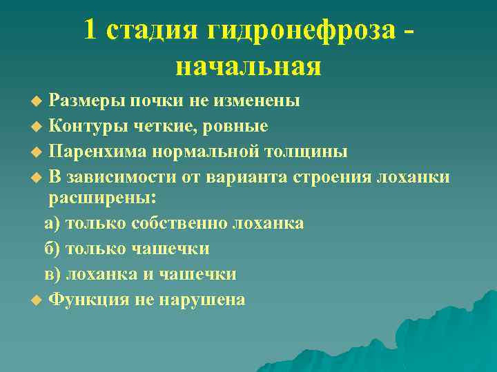 1 стадия гидронефроза начальная Размеры почки не изменены u Контуры четкие, ровные u Паренхима