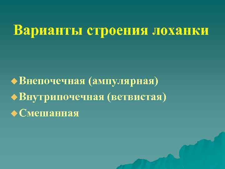 Варианты строения лоханки u Внепочечная (ампулярная) u Внутрипочечная (ветвистая) u Смешанная 