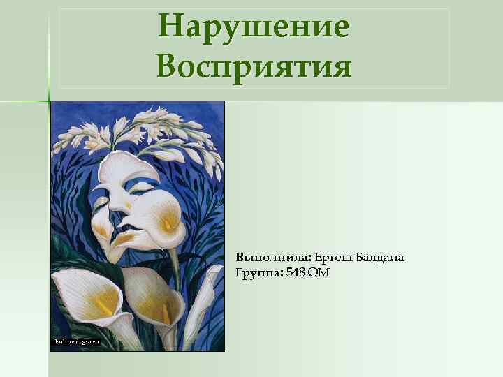 Нарушение Восприятия Выполнила: Ергеш Балдана Группа: 548 ОМ 