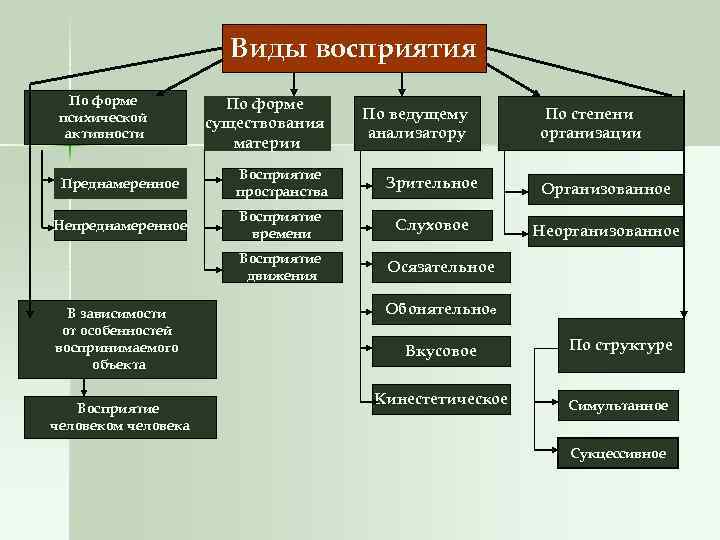Виды восприятия По форме психической активности По форме существования материи По ведущему анализатору По