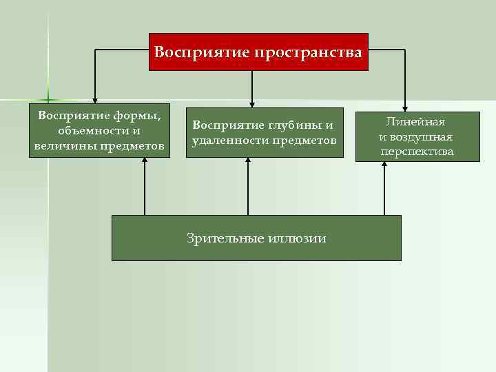 Восприятие пространства Восприятие формы, объемности и величины предметов Восприятие глубины и удаленности предметов Зрительные