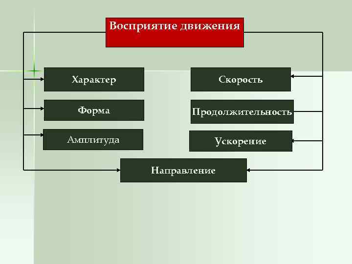 Восприятие движения Характер Скорость Форма Продолжительность Амплитуда Ускорение Направление 