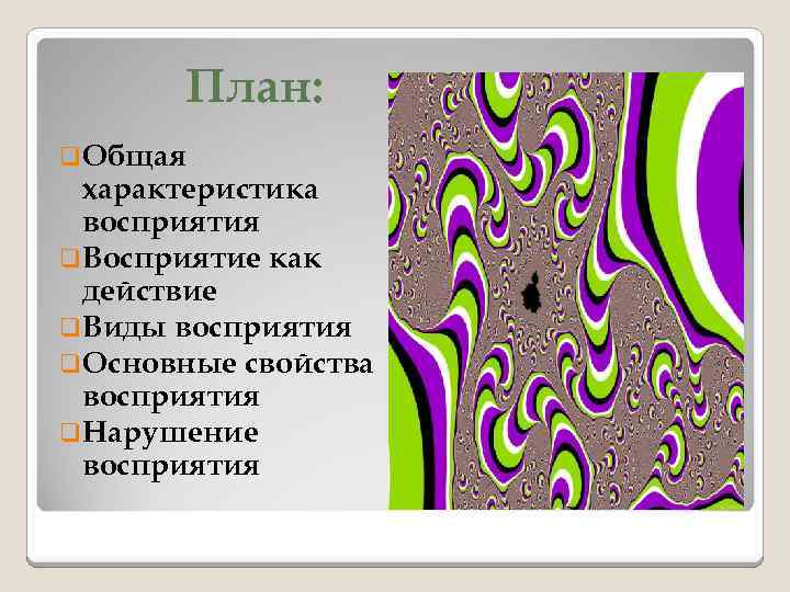 План: q. Общая характеристика восприятия q. Восприятие как действие q. Виды восприятия q. Основные