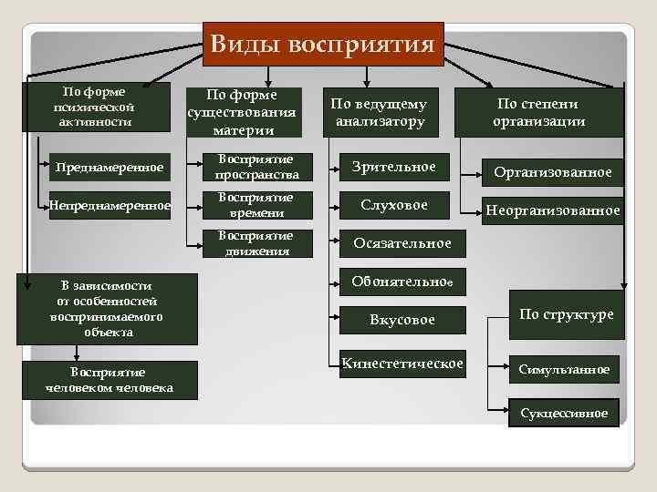 Виды восприятия По форме психической активности По форме существования материи По ведущему анализатору По