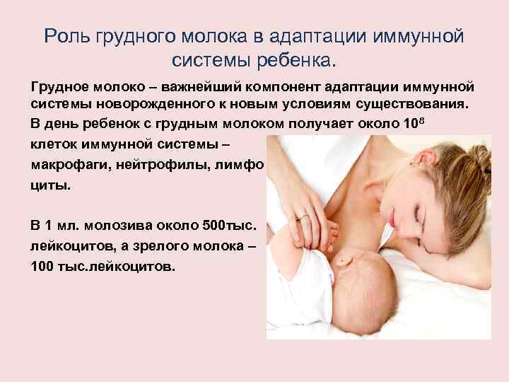 Роль грудного молока в адаптации иммунной системы ребенка. Грудное молоко – важнейший компонент адаптации