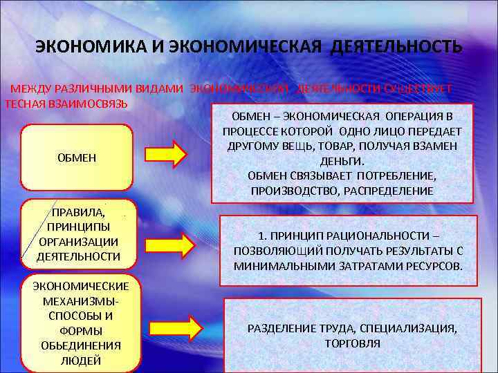 ЭКОНОМИКА И ЭКОНОМИЧЕСКАЯ ДЕЯТЕЛЬНОСТЬ МЕЖДУ РАЗЛИЧНЫМИ ВИДАМИ ЭКОНОМИЧЕСКОЙ ДЕЯТЕЛЬНОСТИ СУЩЕСТВУЕТ ТЕСНАЯ ВЗАИМОСВЯЗЬ ОБМЕН –
