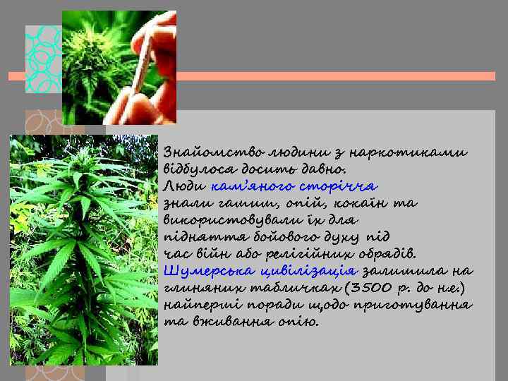 Знайомство людини з наркотиками відбулося досить давно. Люди кам’яного сторіччя знали гашиш, опій, кокаїн