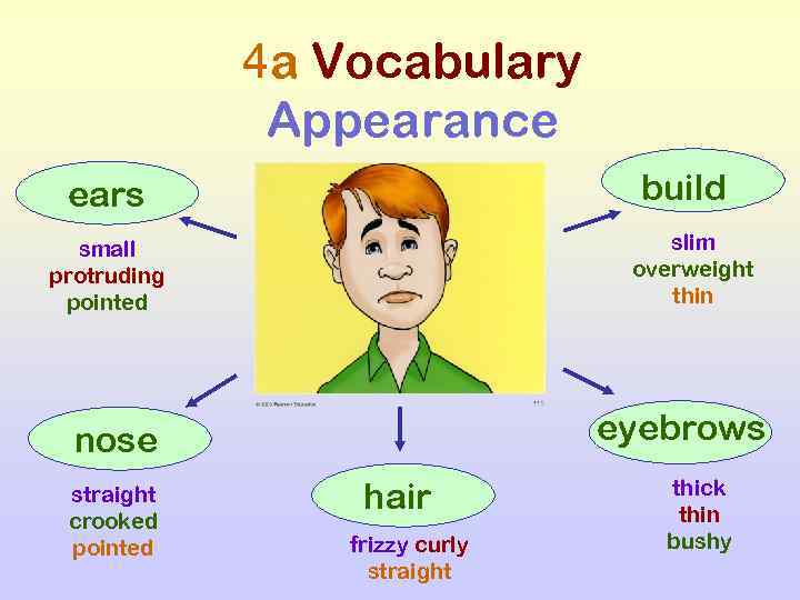 4 a Vocabulary Appearance build ears slim overweight thin small protruding pointed eyebrows nose