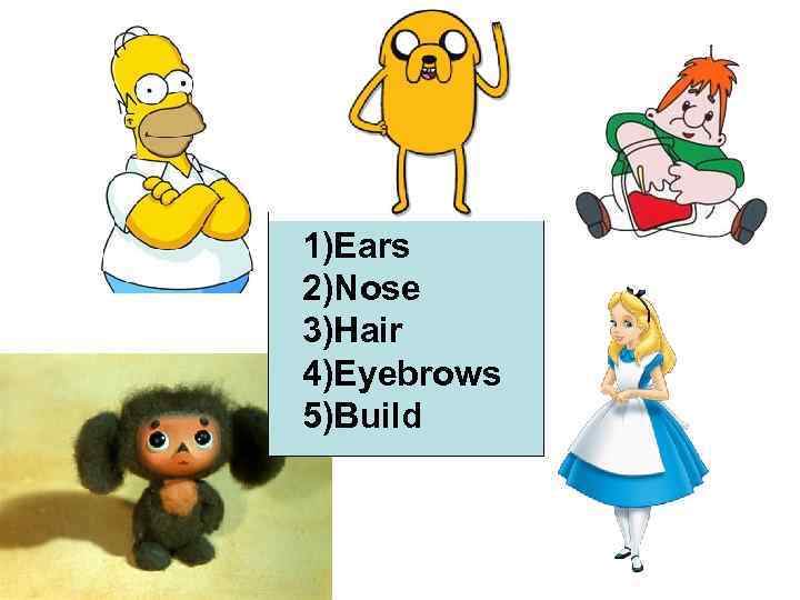 1)Ears 2)Nose 3)Hair 4)Eyebrows 5)Build 