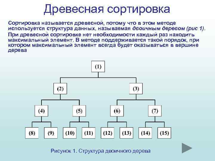 Древесная сортировка Сортировка называется древесной, потому что в этом методе используется структура данных, называемая