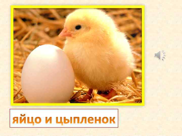 Был белый дом, Чудесный дом, И что-то застучало в нем. И он разбился и