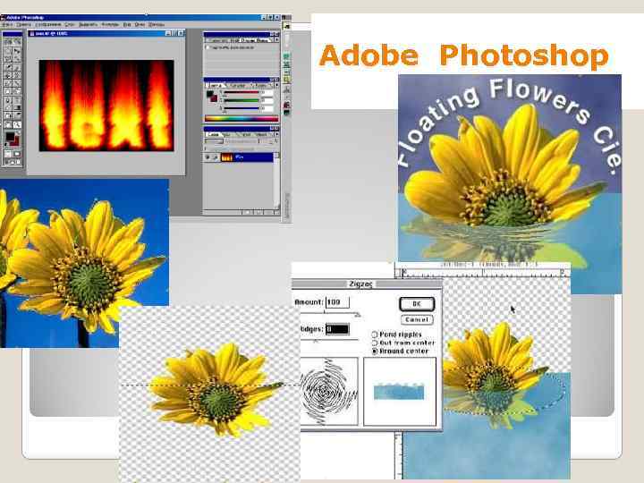 Adobe Photoshop 