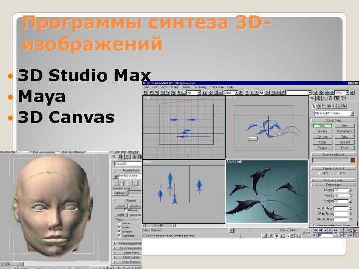 Программы синтеза 3 Dизображений 3 D Studio Max Maya 3 D Canvas 