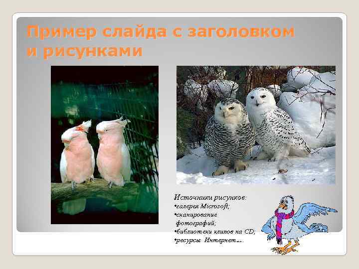 Пример слайда с заголовком и рисунками Источники рисунков: • галерея Microsoft; • сканирование фотографий;